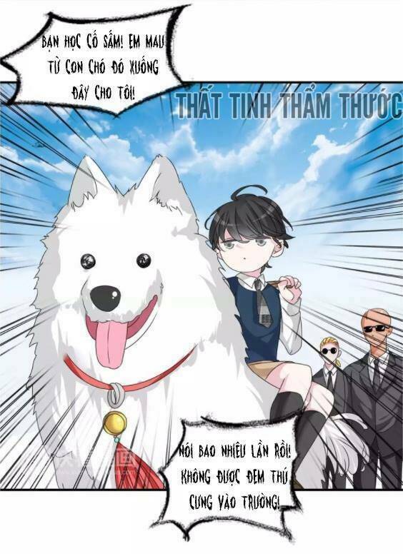 lều khều biết yêu chapter 77 12