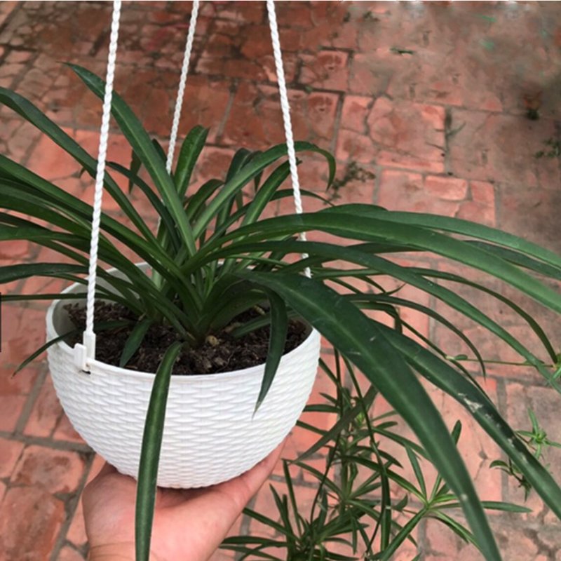 10 CHẬU nhựa treo đan mây,mẫu sang trọng,cứng dày đường kính 22x15cm-77521