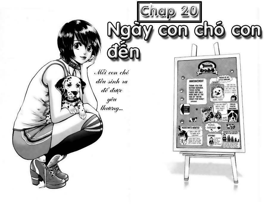 cô nàng yêu chó chapter 20 3