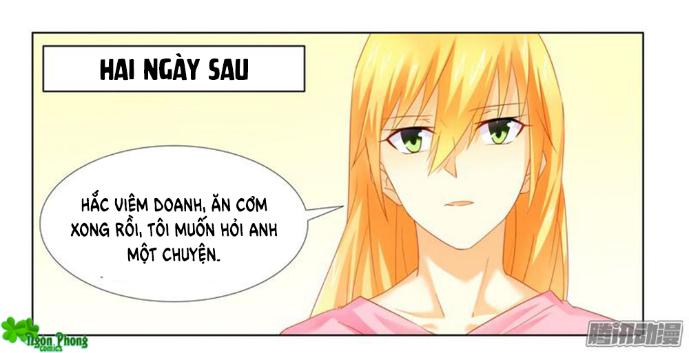 phúc hắc tổng tài đừng tới đây chapter 19 24