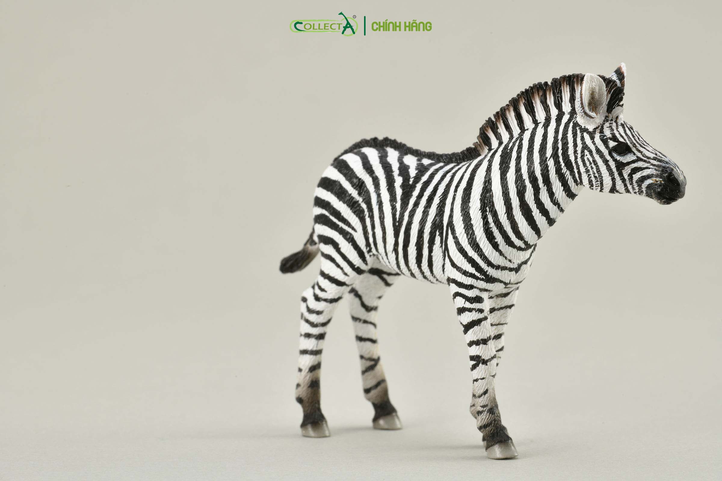 Mô hình thu nhỏ: Ngựa Vằn con - Zebra Foal , hiệu: CollectA, mã HS 9651071[88850] -  Chất liệu an toàn cho trẻ - Hàng chính hãng