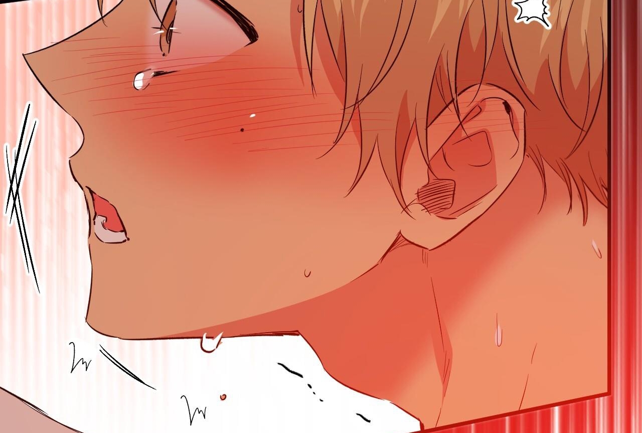 đàn thỏ của habibi chapter 64 56