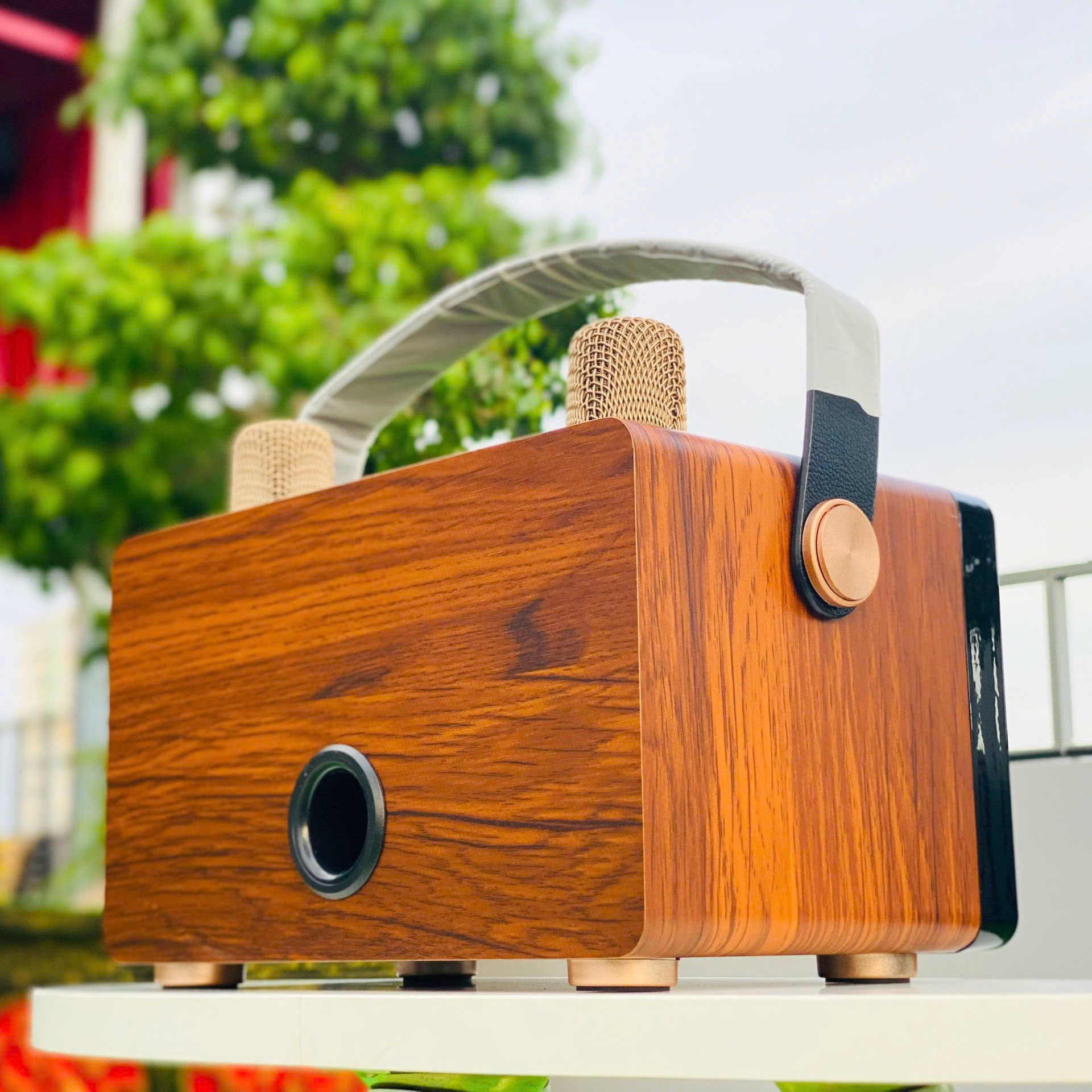 Loa Xách Tay Bluetooth YS-314, Công Suất 40W, Thiết Kế Nhỏ Gọn, Âm Thanh Cực Hay, Bass Căng, Kèm 2 Micro Không Dây Karaoke Cao Cấp, Bảo Hành 6 Tháng, Hàng Chính Hãng