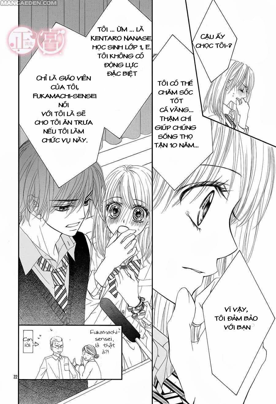 awa-koi chapter 2 21