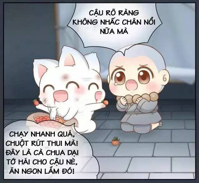 tiểu hồ ly vs tiểu hóa thượng chapter 48 17