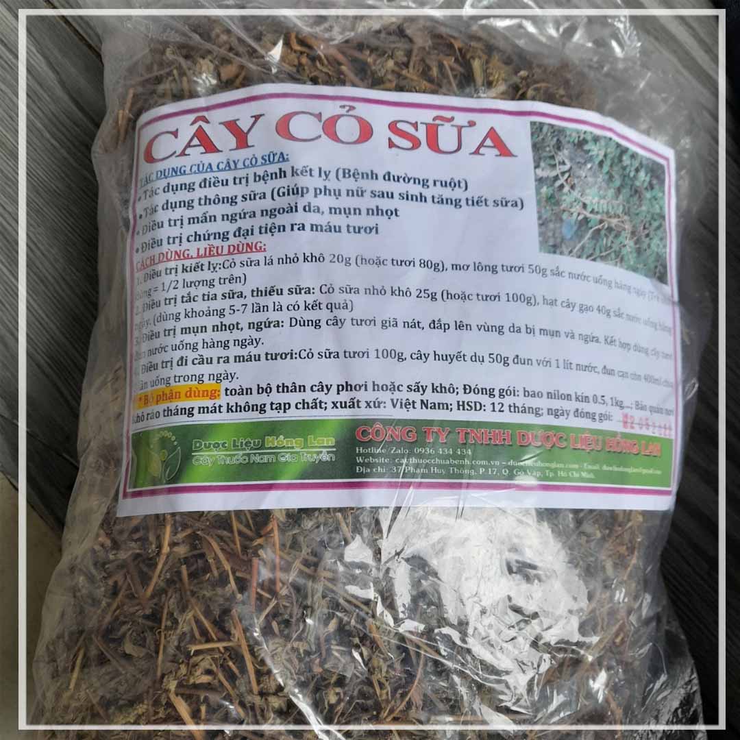 500g Cây cỏ sữa lá lớn khô sạch