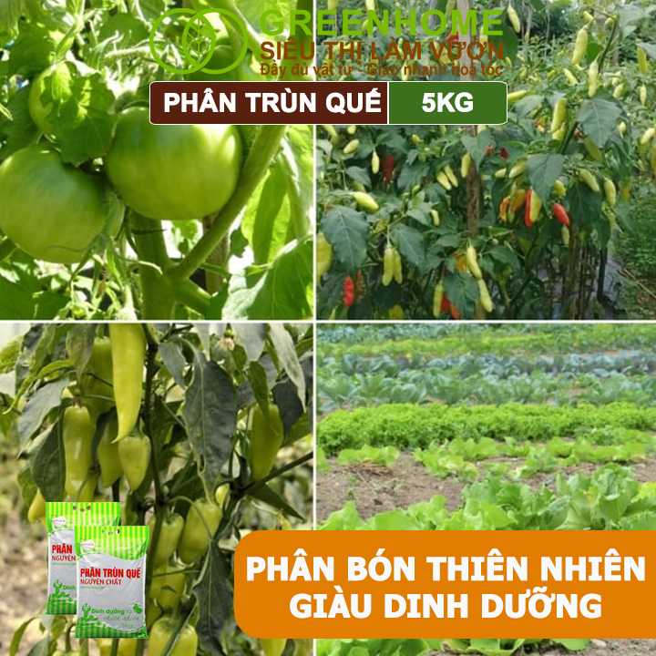 Phân Trùn Quế Greenhome, Lavamix, Bao 5kg, Nguyên Chất, Bổ Sung Dinh Dưỡng, Cải Tạo Đất, Bón Rau