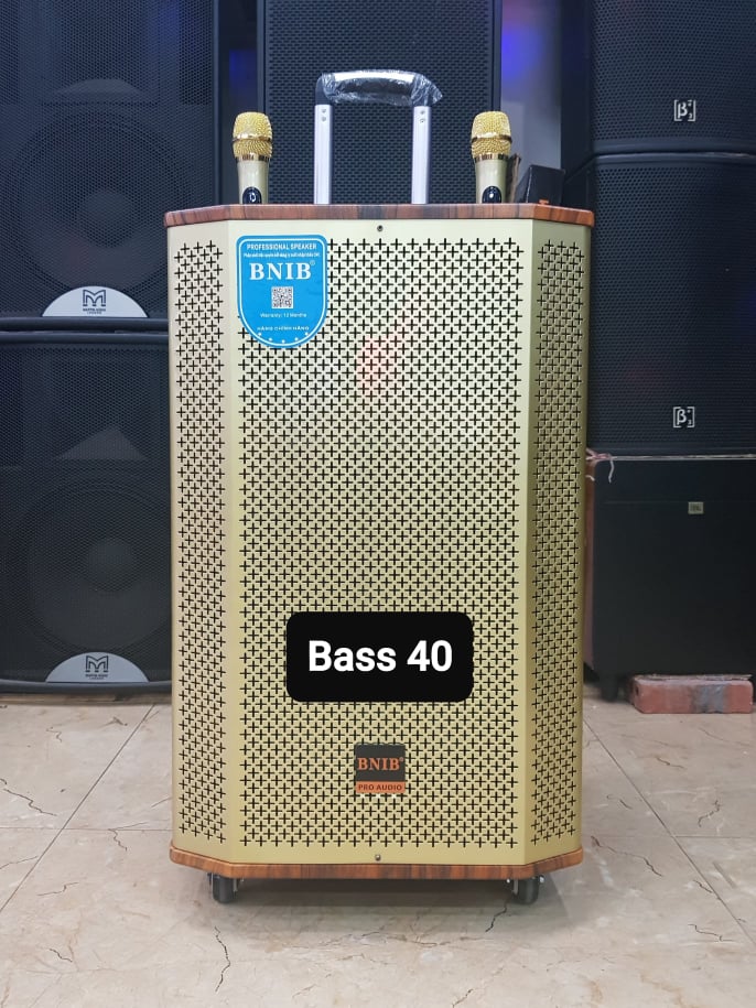 Loa kéo Karaoke Bluetooth BNIB 1506A: Bass 40, Thiết kế 3 loa, Công suất 500W, Chống hú tốt. 2 Micro chất liệu kim loại cao cấp