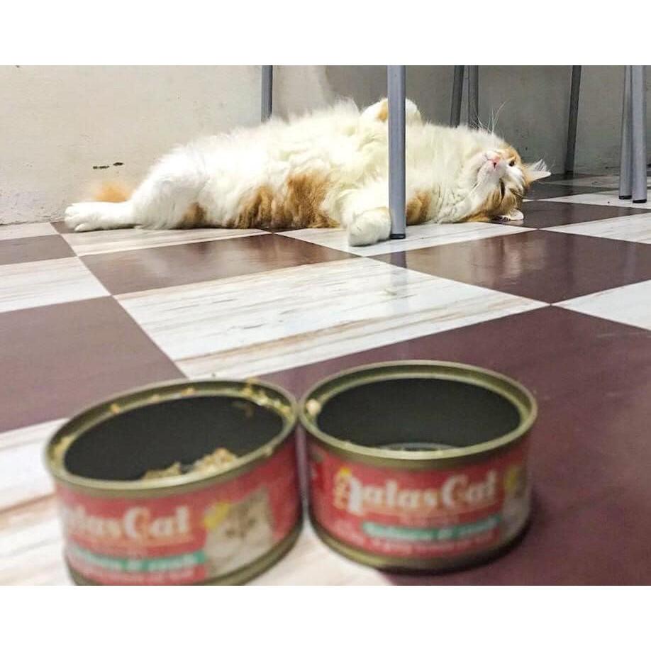 Pate Cho Mèo Con Aatas Cat 80g Nguyên Chất Từ Cá Ngừ Mix Với 12 Vị Thơm Ngon - Không Chất Bảo Quản