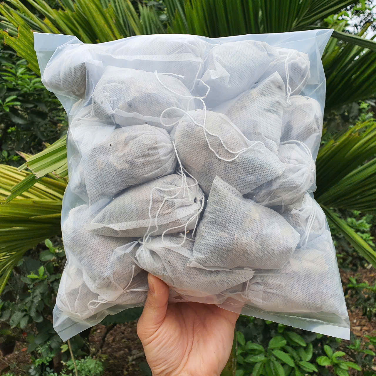 Gói 30 túi trà lọc 4 vị lá ổi lá sen cỏ ngọt giảo cổ lam hỗ trợ tiêu hóa giảm cân-Uống cả tháng