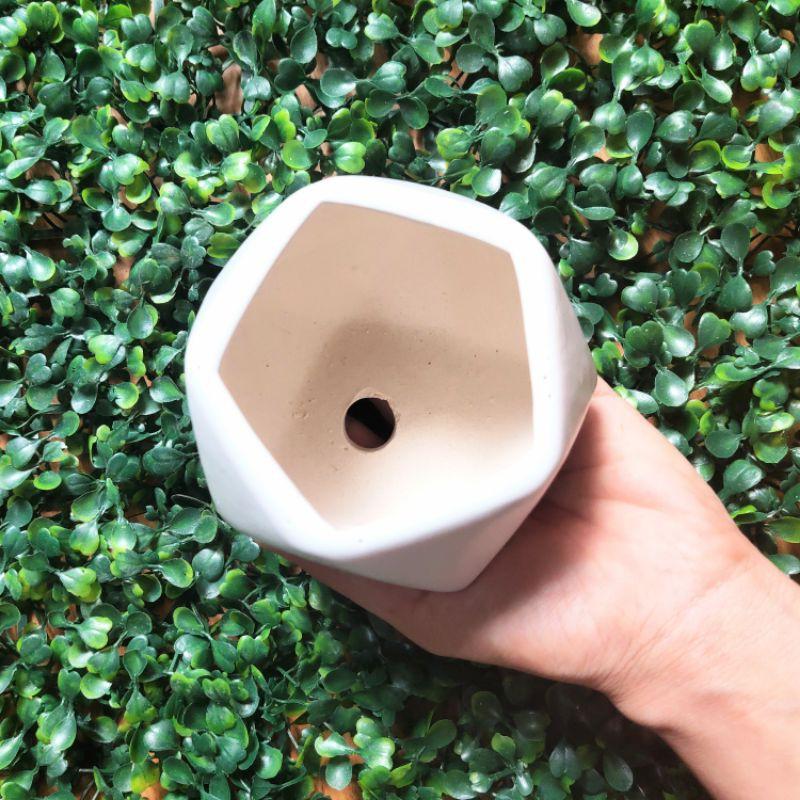 Chậu sứ đa giác thấp, chậu sứ trồng cẩm nhung, sen đá, cây mini để bàn đẹp
