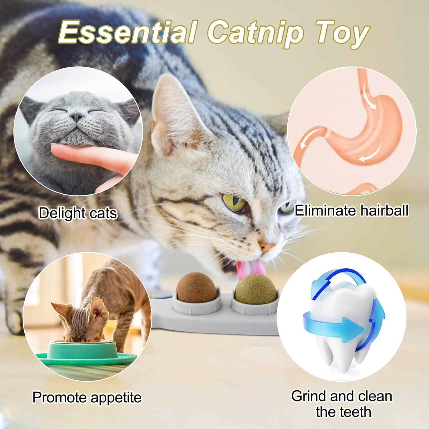 Bóng Catnip 3 trong 1, Bóng Catnip treo tường, Đồ chơi xoay trong nhà cho mèo, Đồ chơi Catnip ăn được cho mèo