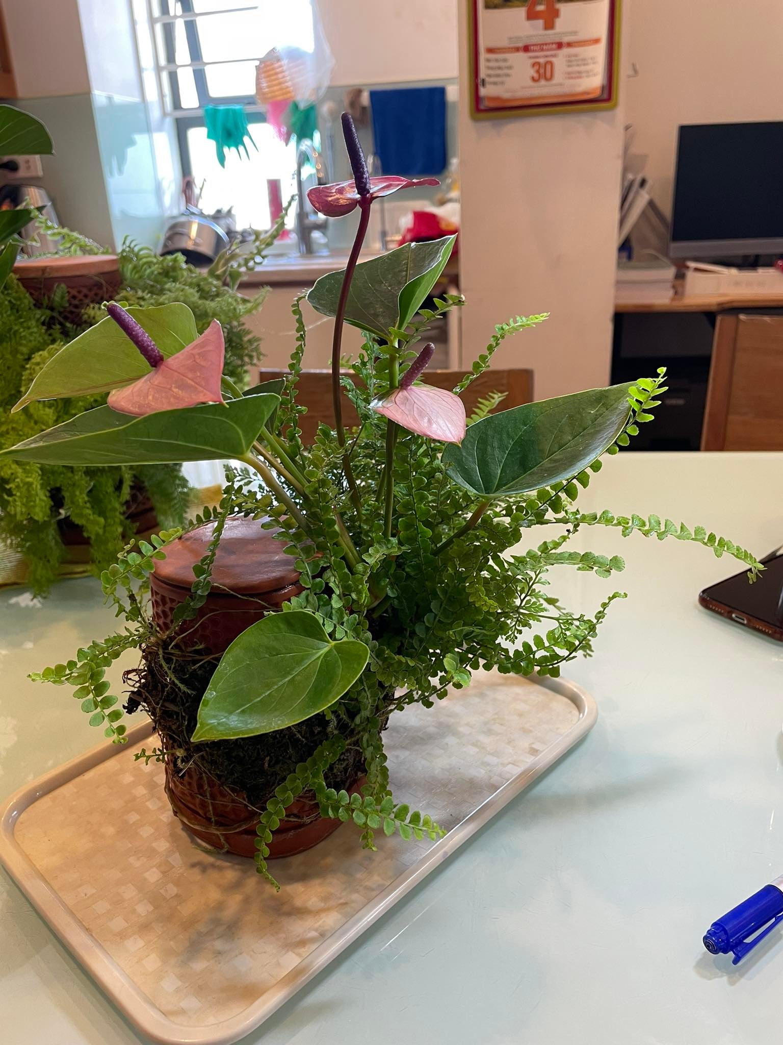 Tháp cây đứng TERRAPLANTER gốm trồng cây dương sỉ rêu tự thẩm thấu thủy canh nhiều lỗ DOOA TERRARIUM - TERRA-02