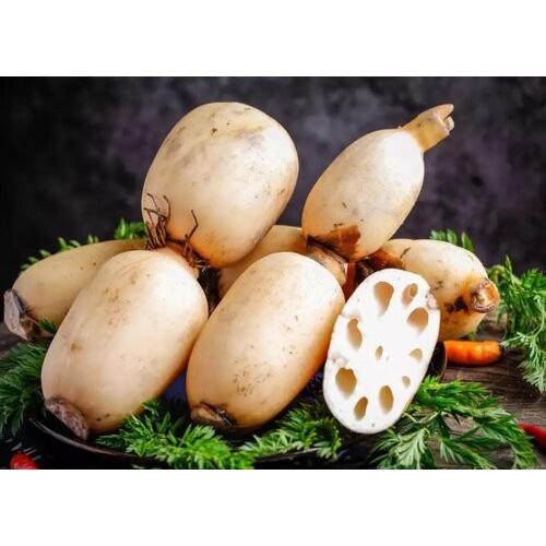 SẢN PHẨM OCOP, Tinh Bột Củ Sen Nguyên Chất Nhà Làm 100% Truyền Thống, Ngủ Ngon, Giảm Cân Tốt
