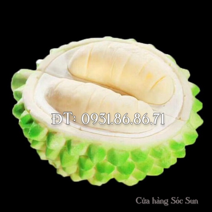 Khuôn silicon trái sầu riêng - Mã số 1617