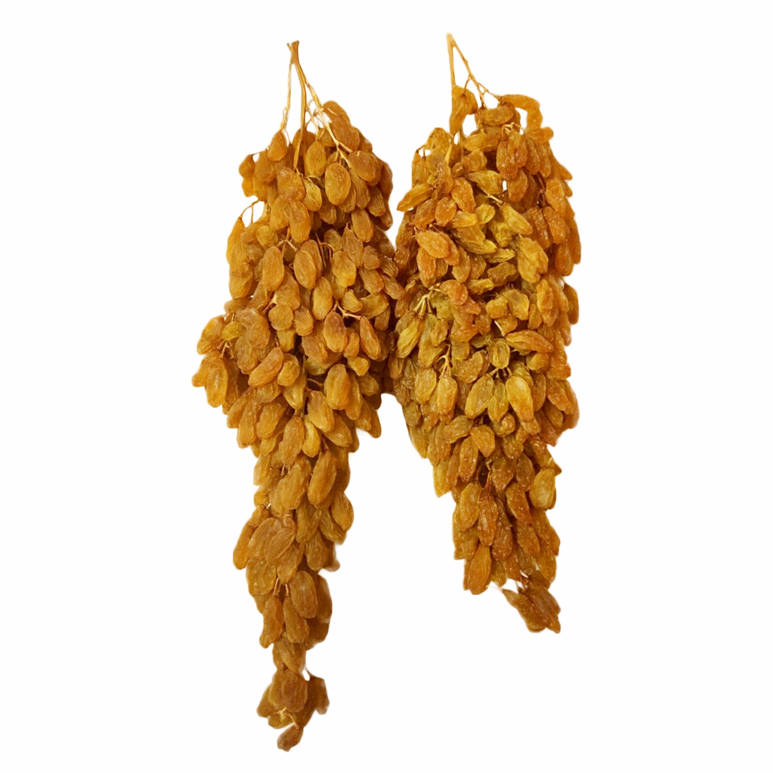 Nho khô nguyên cành THOMPSON Úc Dried Grapes Adora st Food (mẫu Quà Tết 1kg/hộp) ngon, bổ dưỡng, giàu vitamin, khoáng chất tự nhiên-QuaTangMe Extaste