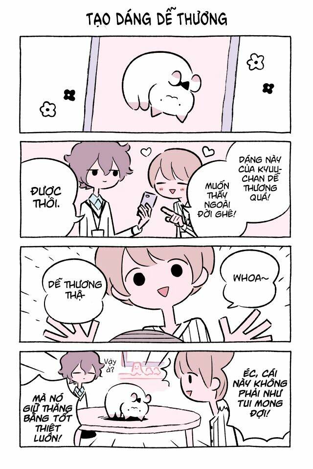 chú mèo kỳ diệu kyuu-chan chapter 483 2