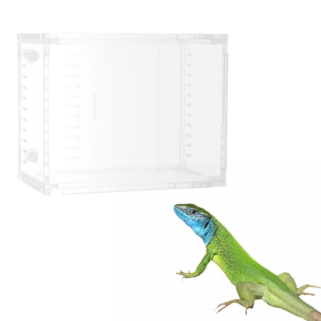 Reptile Terrarium Amphibian Habitat for Mini Pet Houses Acrylic Box Clear