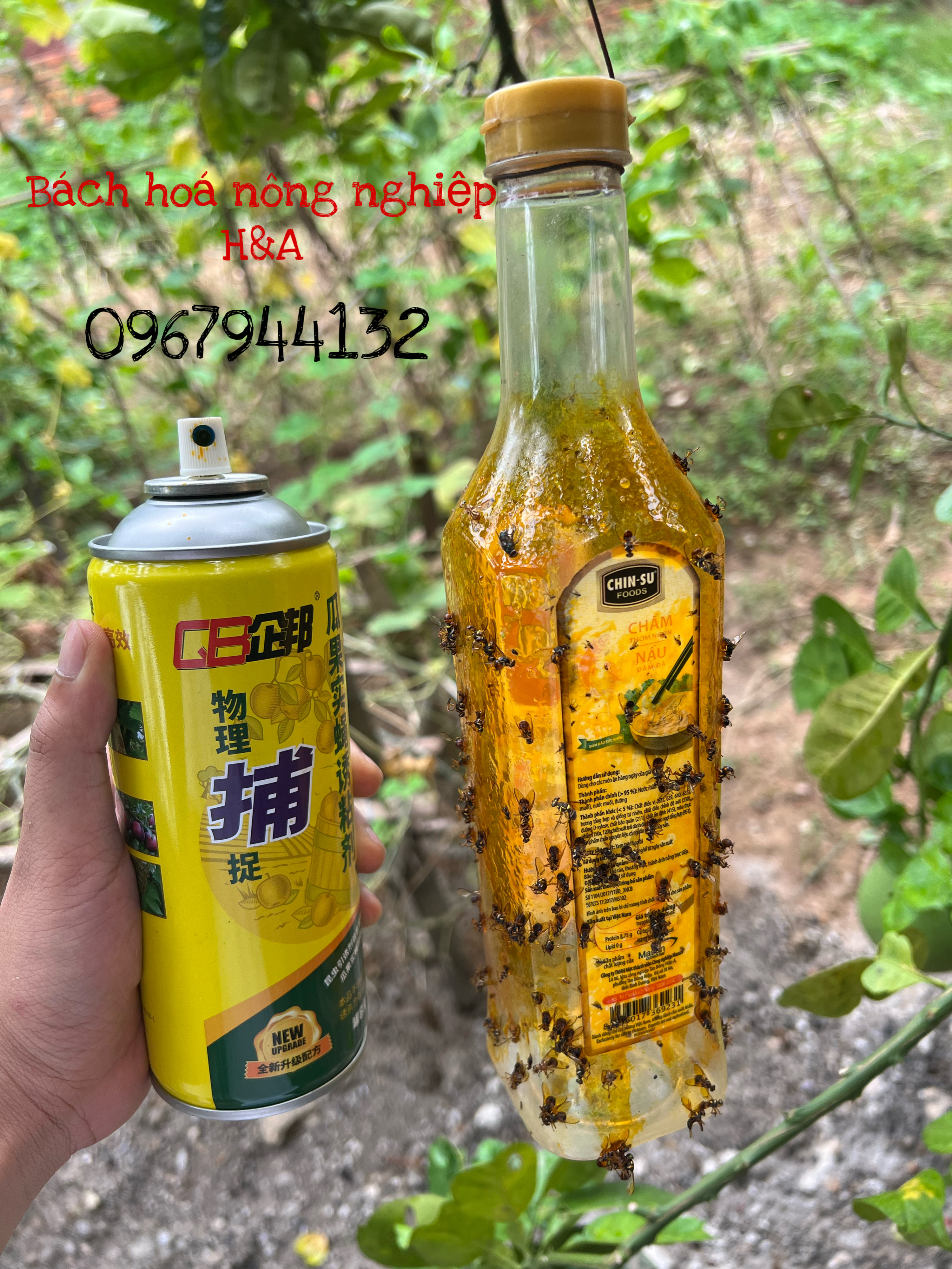 CHAI XỊT BẪY RUỒI VÀNG , AN TOÀN KHI SỬ DỤNG