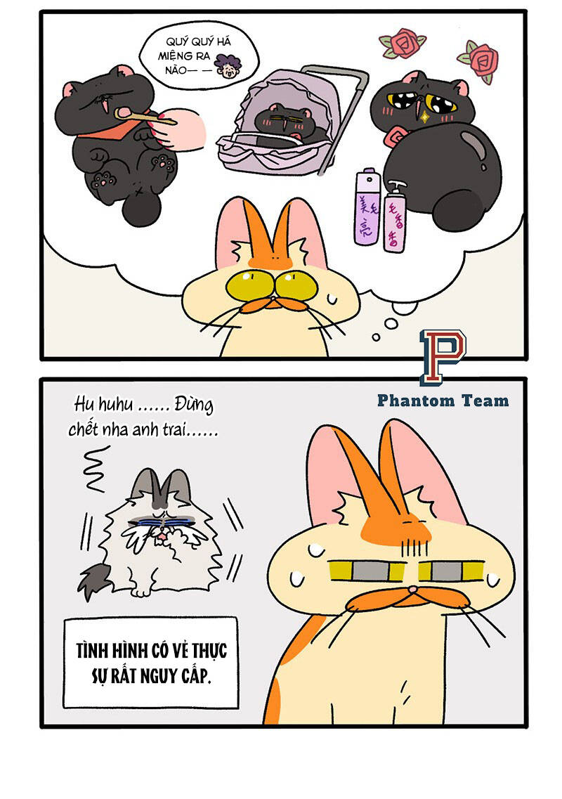 a mãn và mạch trà chapter 39.1 4