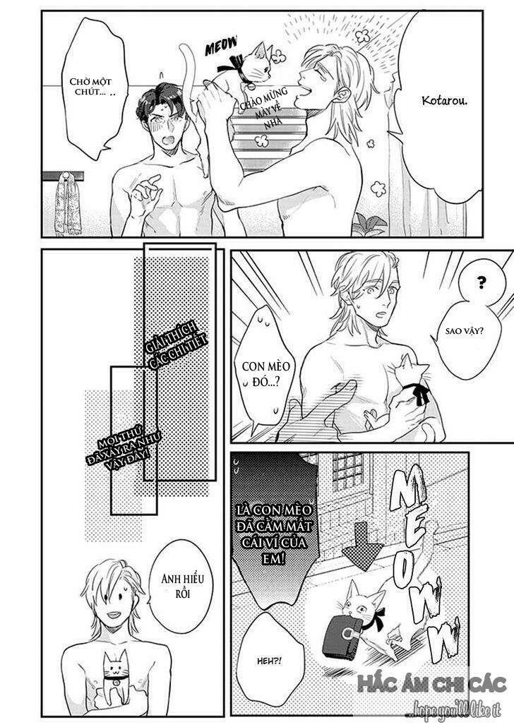 dorobou neko ni wa nusumena chapter 3 20