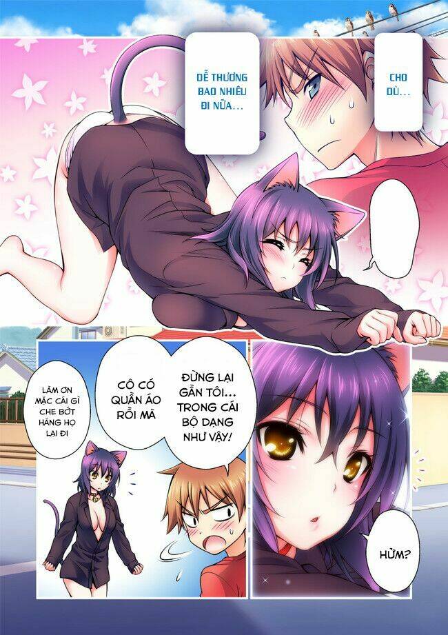 nikukyuu chapter 1 17