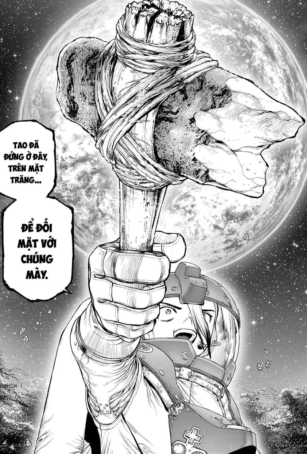 dr.stone - hồi sinh thế giới chapter 231 12