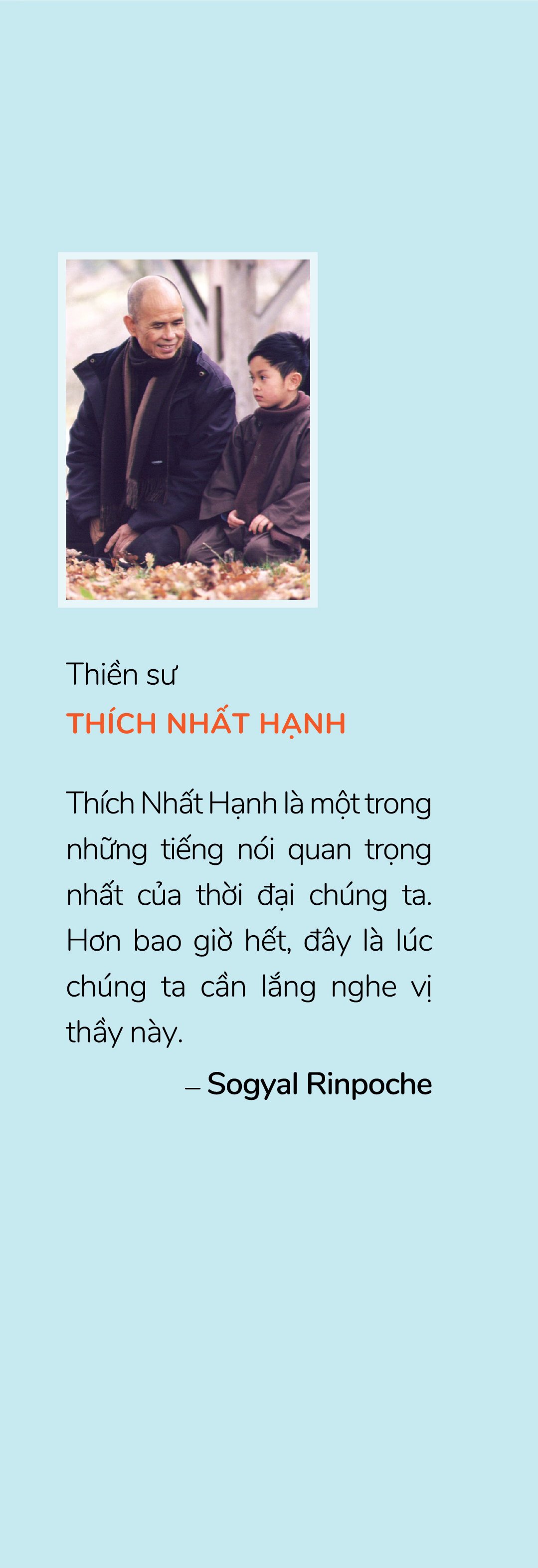 Sách - Con Cá Dung Thông (Thích Nhất Hạnh)