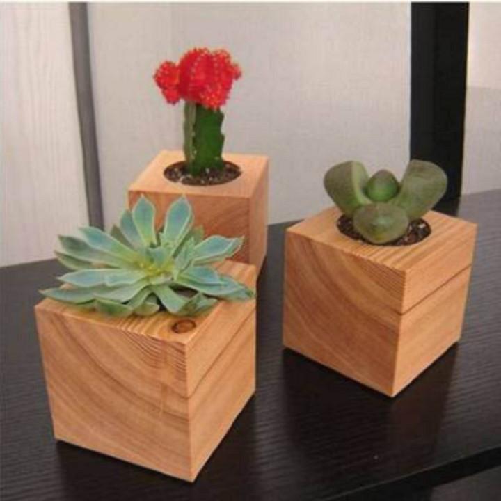 Combo 2 Chậu trồng cây bằng gỗ Nguyên khối Hình vuông Vân gỗ tự nhiên - Kích thước: 9x9cm