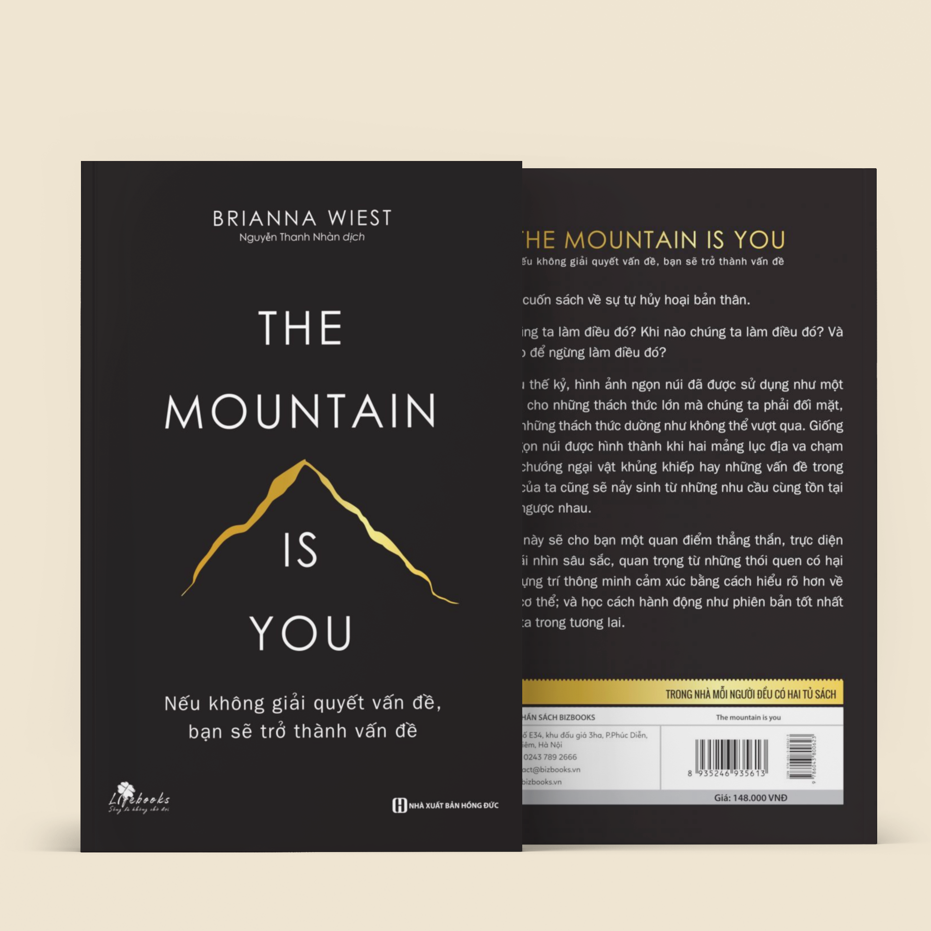Nếu Không Giải Quyết Vấn Đề, Bạn Sẽ Trở Thành Vấn Đề - The Mountain Is You