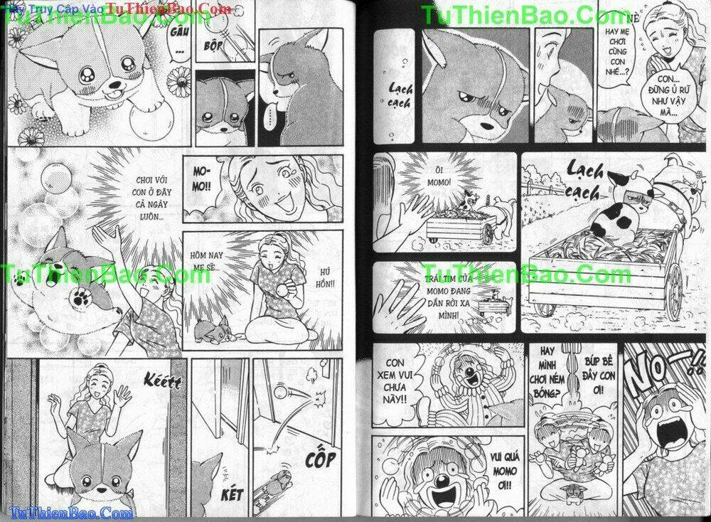 chó con mo mo chapter 4 78