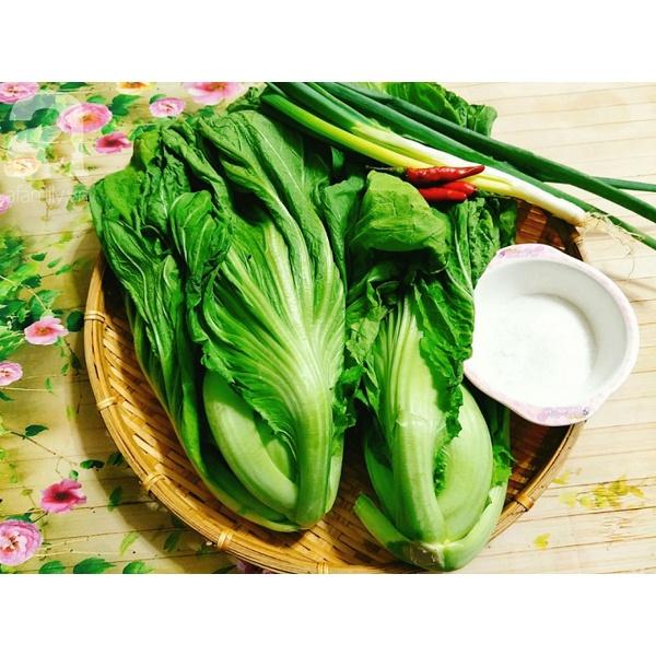 _ COMBO 03 gói 20g/03 loại hạt giống rau "năng suất tốt, dễ gieo trồng">>> Rau sạch cho mọi nhà