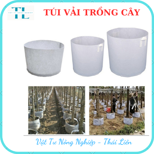 Túi vải trồng cây 2 quai, túi vải ươm dưỡng kích thước 40x40 siêu rẻ, siêu bền, tiện lợi, dễ sử dụng