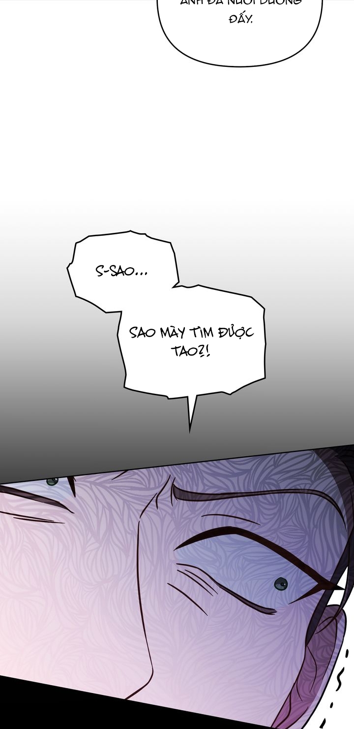 kẻ nghiệp dư chapter 54.1 3