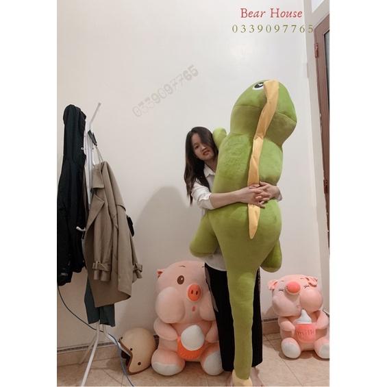 GẤU BÔNG KHỦNG LONG SIÊU TO KHỔNG LỒ HOT TREND