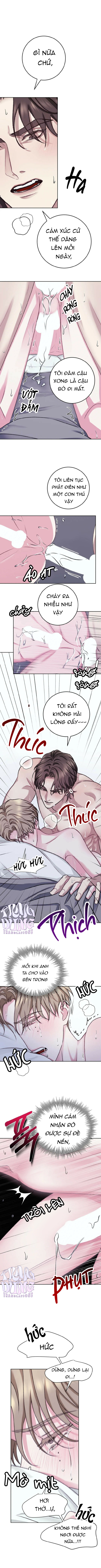 người nhà bất đắc dĩ chapter 6 8