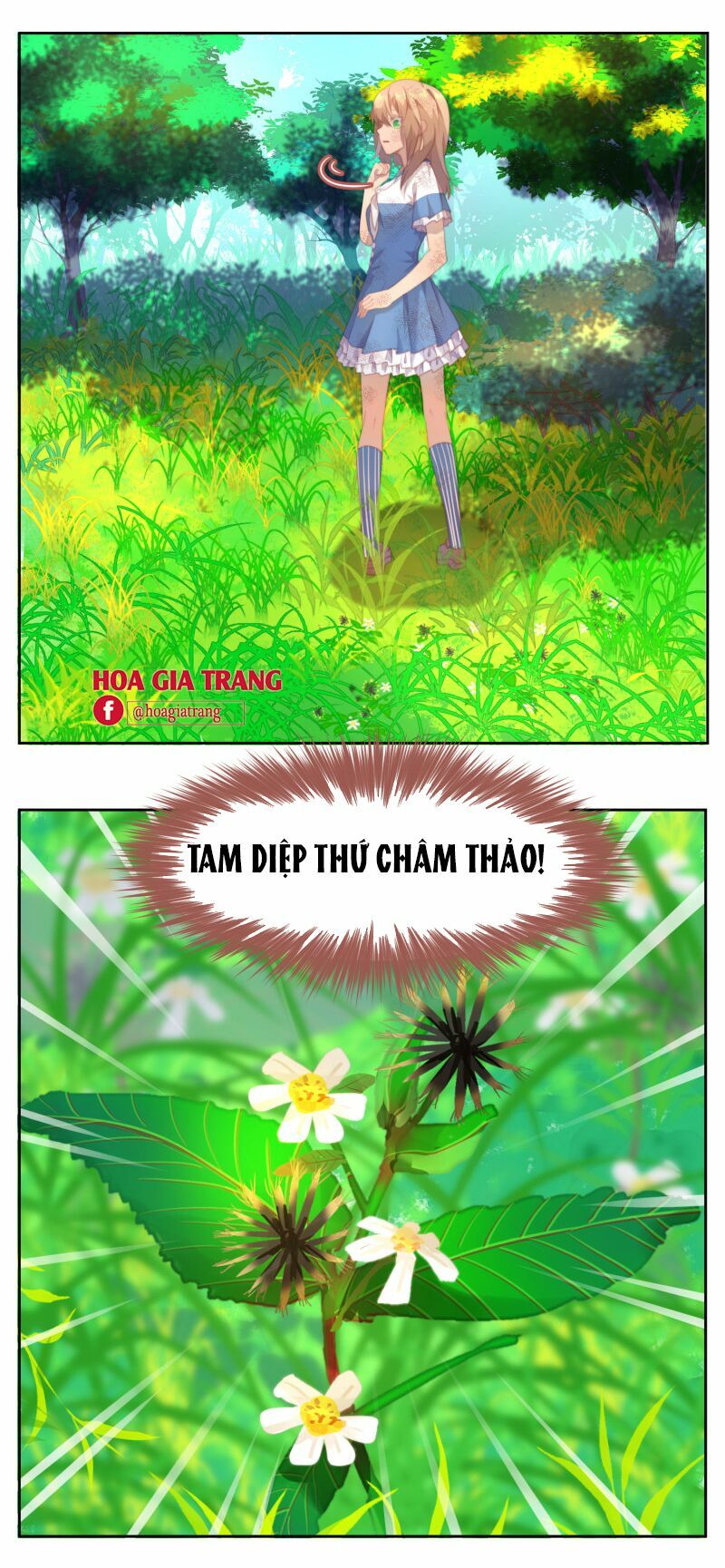 thanh âm giai điệu phản công chapter 29 11