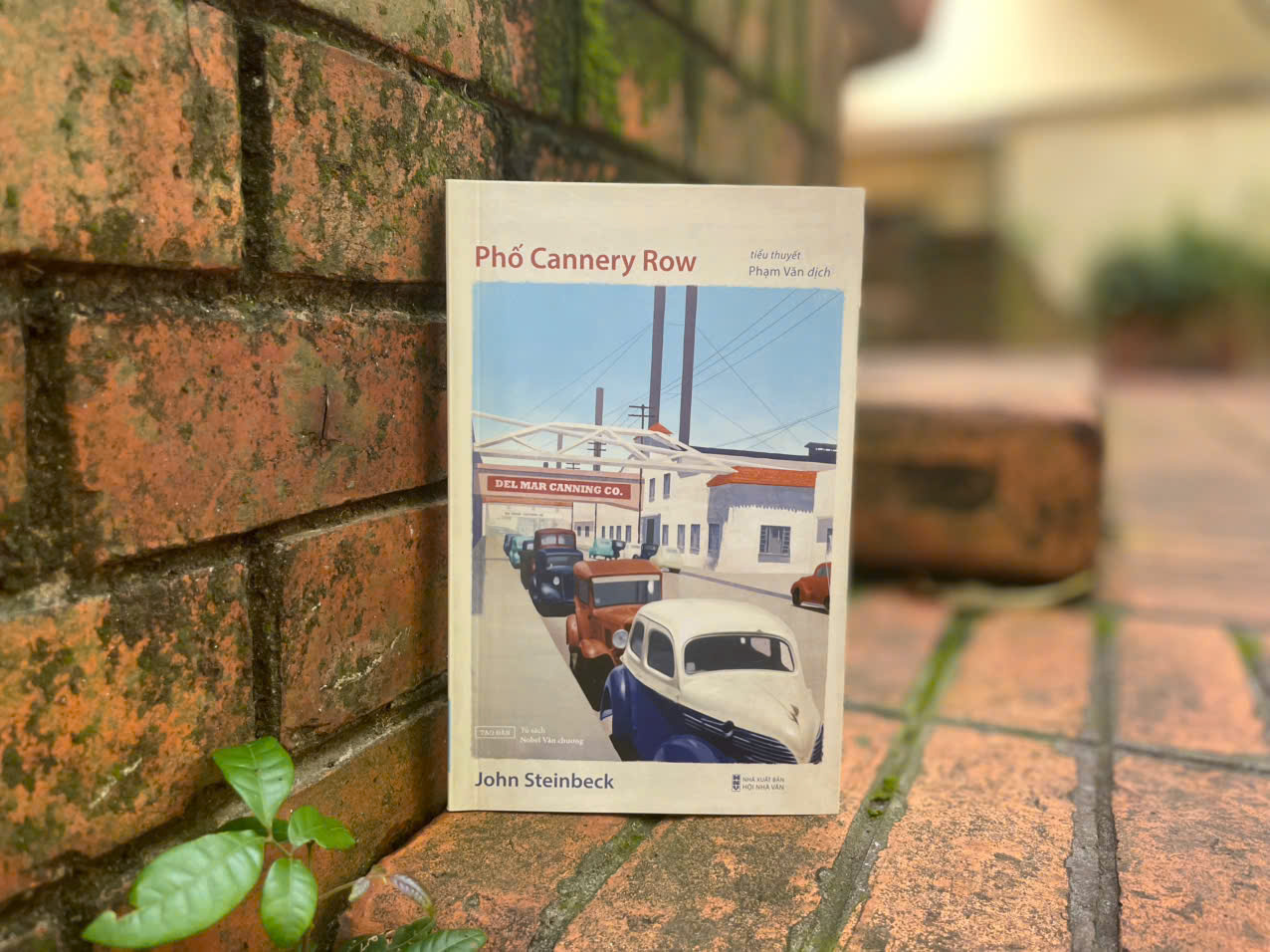 Phố Cannery Row (2025)