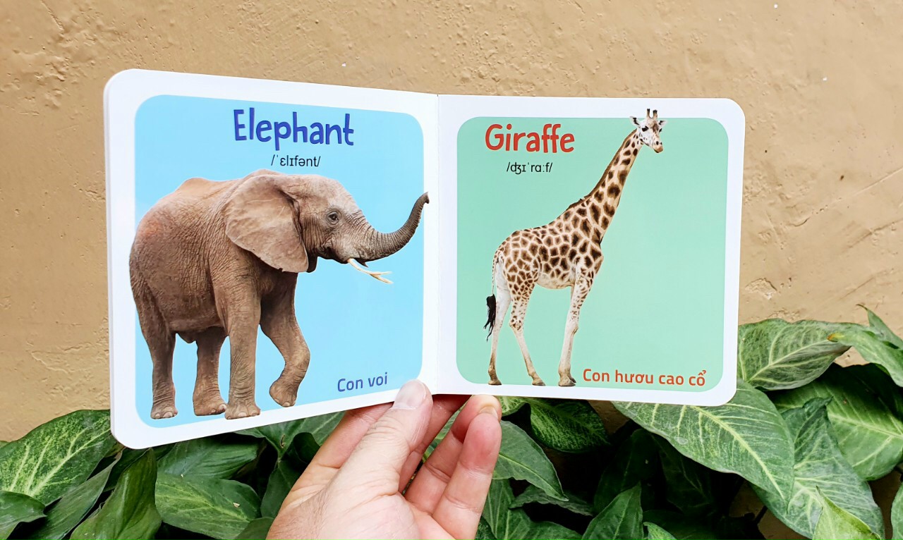 Từ điển hình ảnh đầu tiên cho bé khám phá thế giới - My first picture book