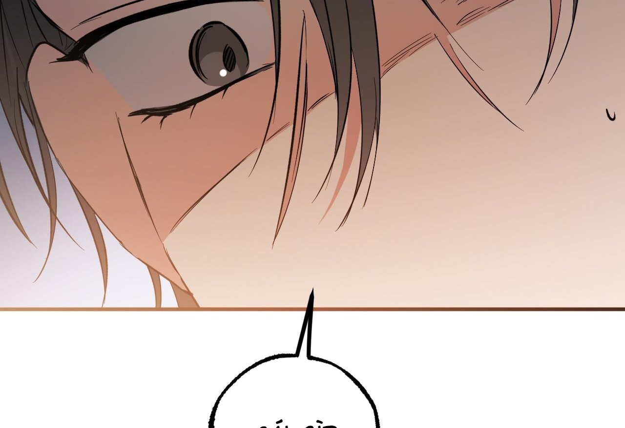 đàn thỏ của habibi chapter 62 205