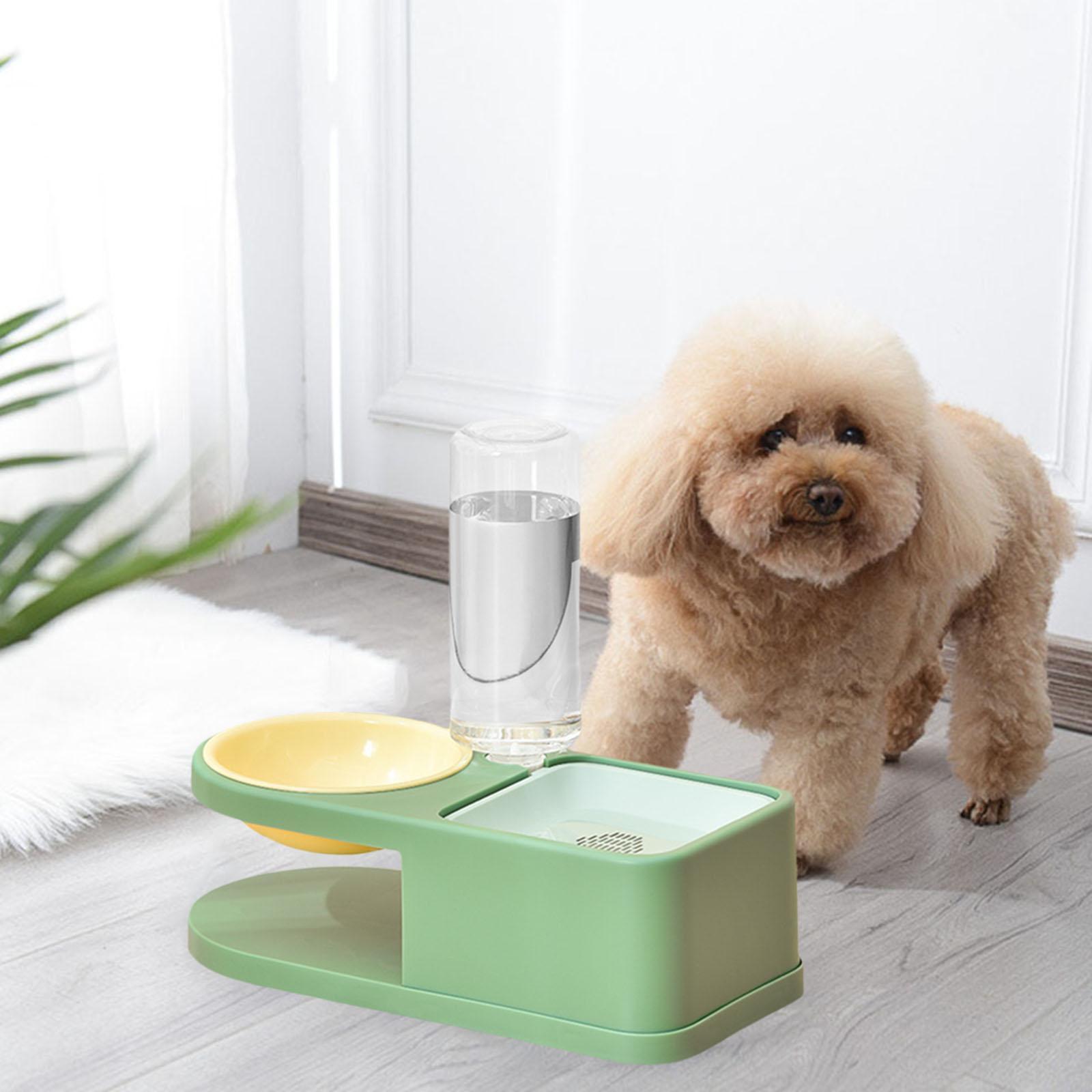 Large Automatic Pet Bowl Dog Cat Water Fountain Dry Food Dispenser