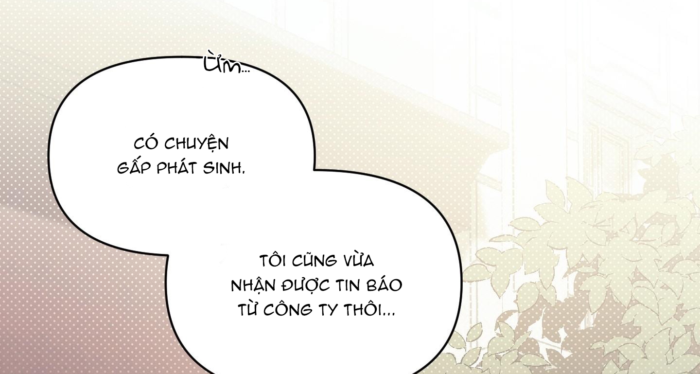định rõ mối quan hệ chapter 29 155