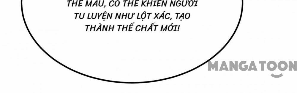 Nhặt Được Hoa Khôi Về Làm Vợ Chapter 215 - Trang 16