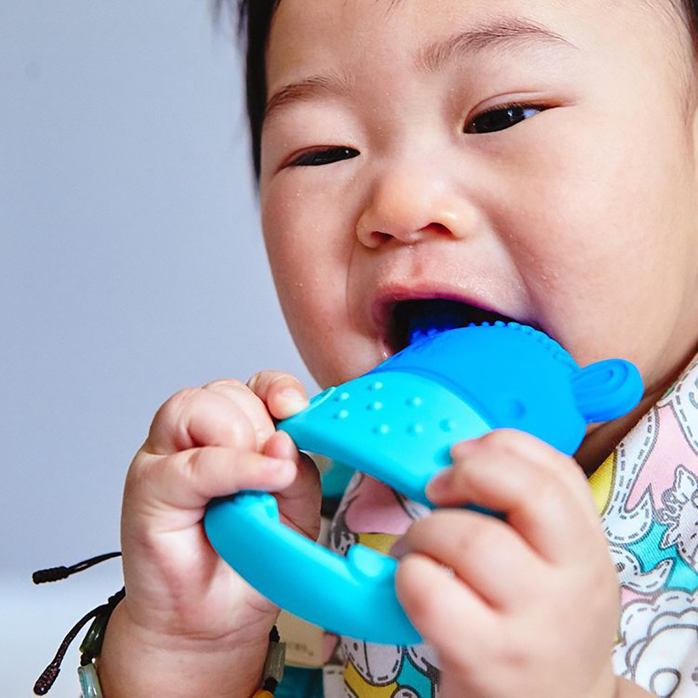 Đồ gặm nướu silicon cho bé Sensory Marcus & Marcus, từ 6 tháng