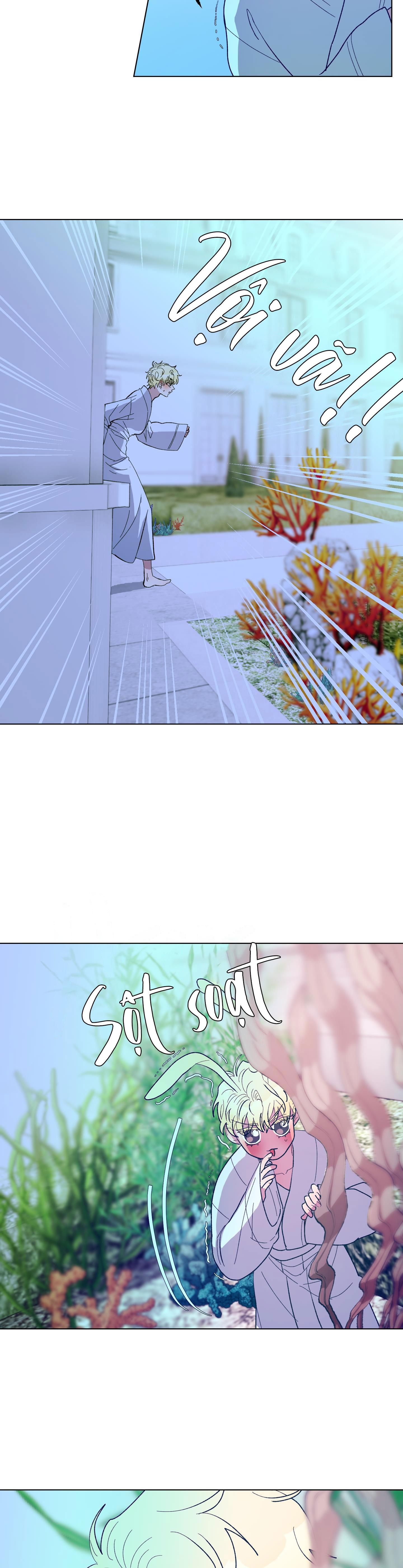 cá mập và cô dâu thỏ chapter 14 7