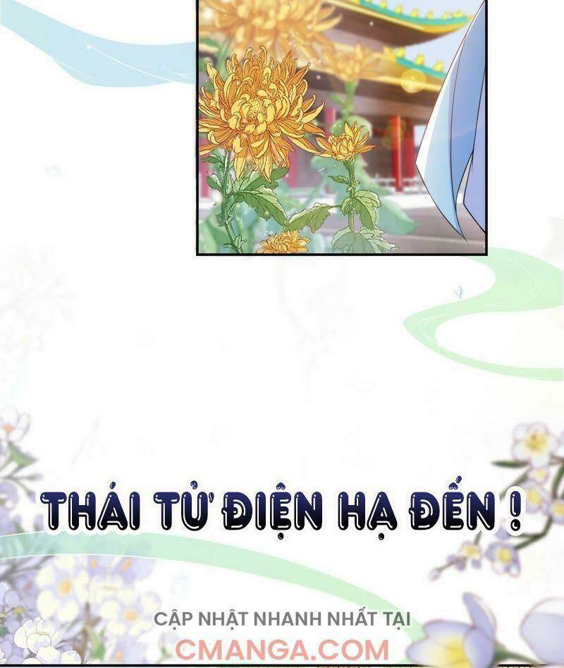 quận chúa vững vàng, thiết lập nhân vật không thể vỡ chapter 20 12