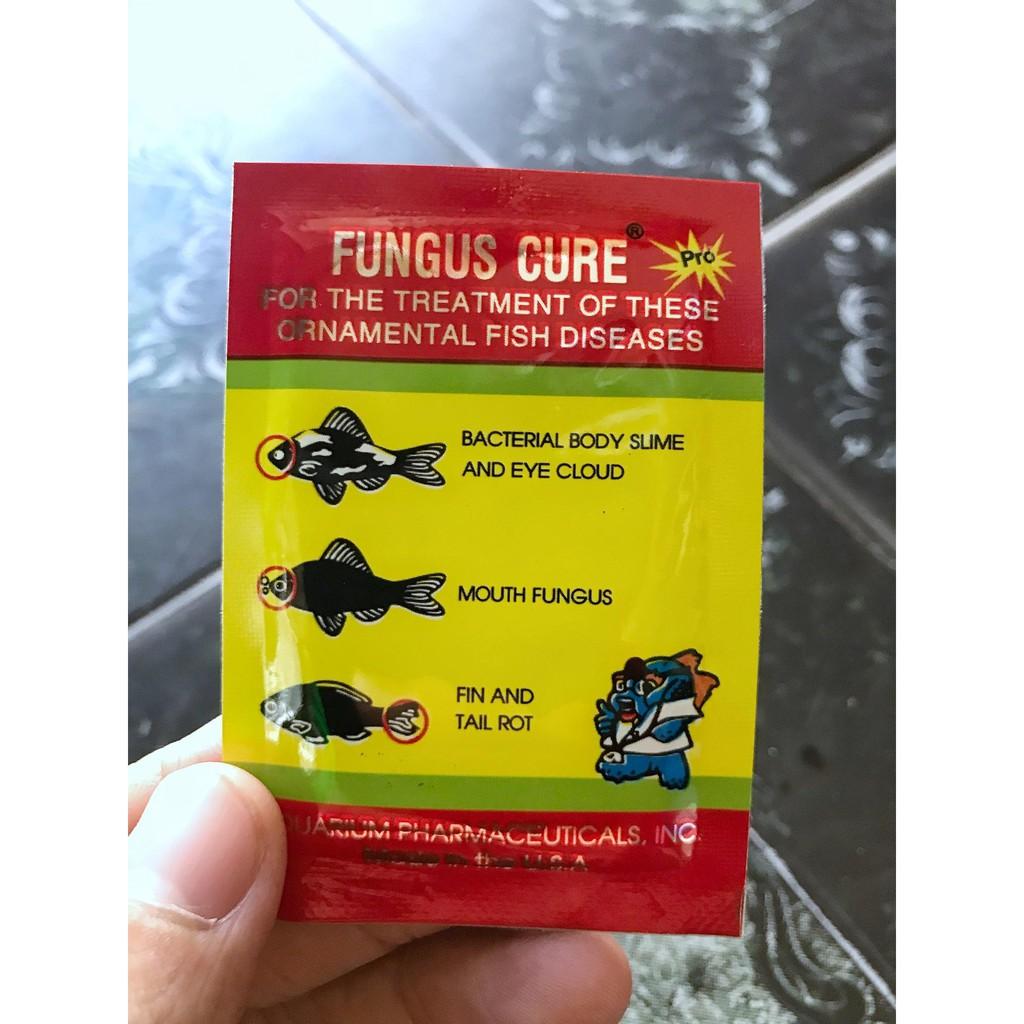 Fungus Cure tri benh cá nhiễm khuẩn nấm đục mắt thối rữa vây và đuôi