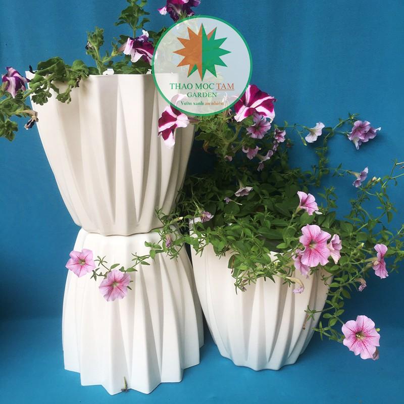 05c Chậu Kim Cương 28x25cm cạnh khế – Chậu nhựa kim cương nhiều cạnh, trồng hoa, cây kiểng trang trí sang trọng