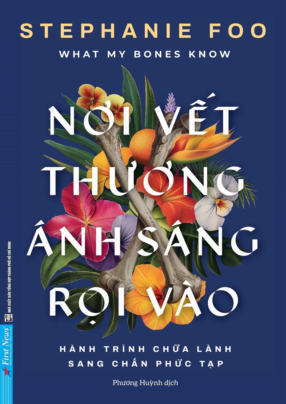 NƠI VẾT THƯƠNG ÁNH SÁNG RỌI VÀO – Stephanie Foo – Phương Huỳnh dịch – First news – NXB Tổng hợp HCM