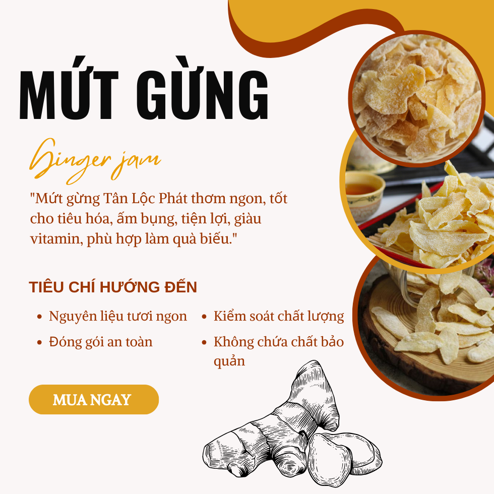 [HỘP TẾT] Mứt Gừng Sấy Dẻo Tân Lộc Phát Hộp 300G